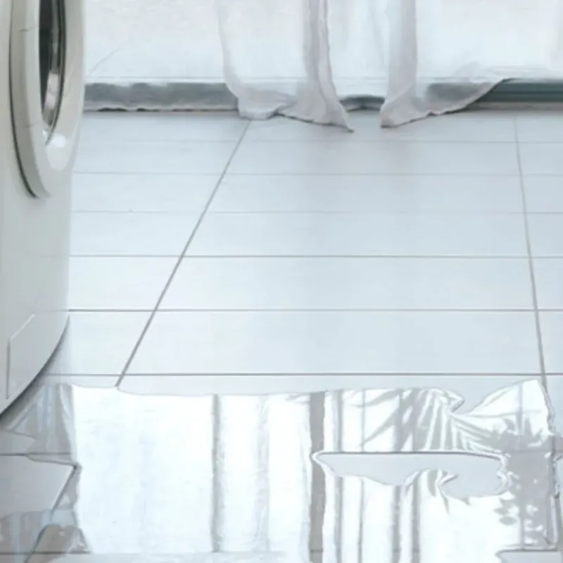 Appliance Leak Cleanup in Grayson County, TX