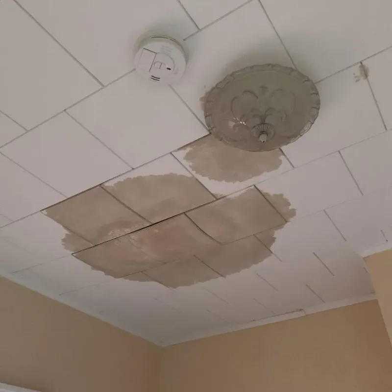 Ceiling Water Damage Repair in Grayson County, TX