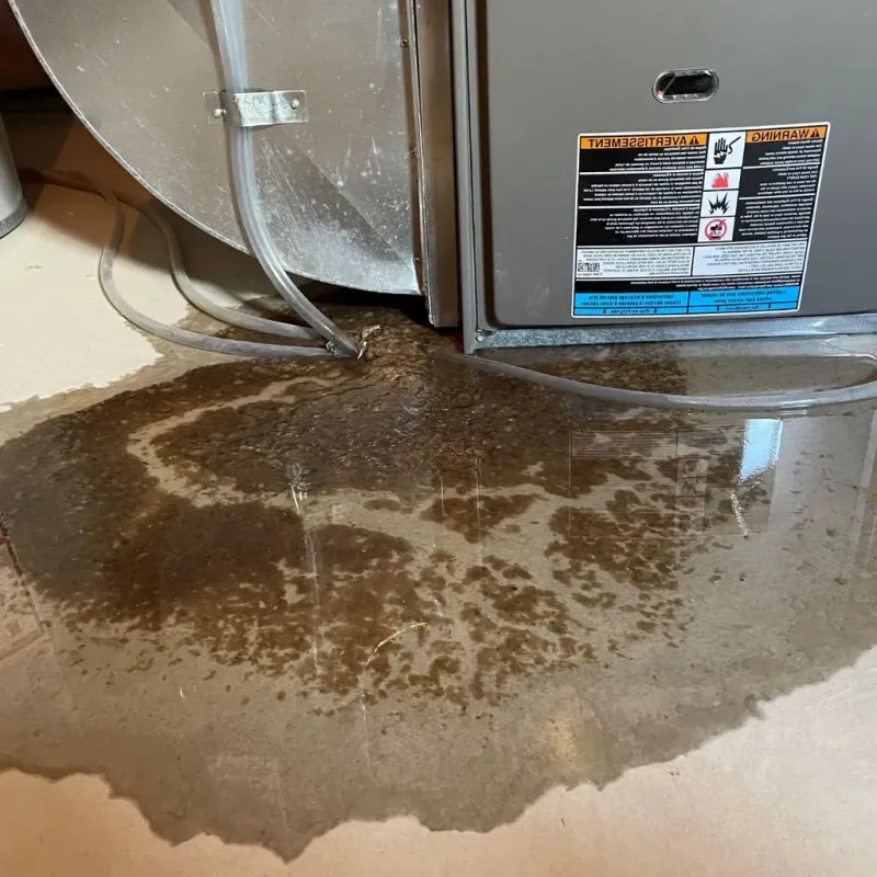 Pipe Burst and Leak Restoration in Grayson County, TX