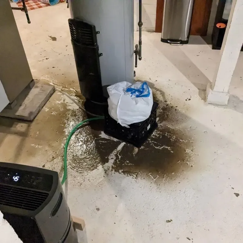 Sewage Backup Cleanup Service in Grayson County, TX